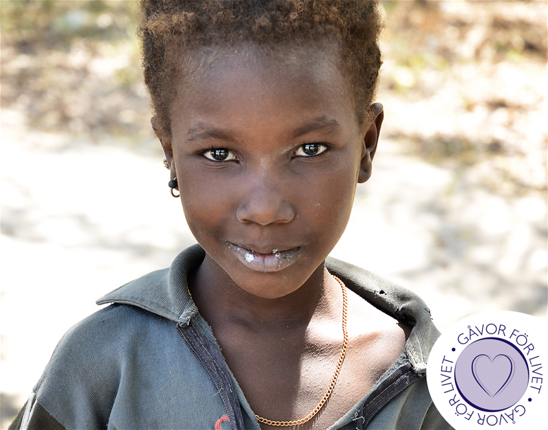 gåvoshoppen - läsklasser, Tchad